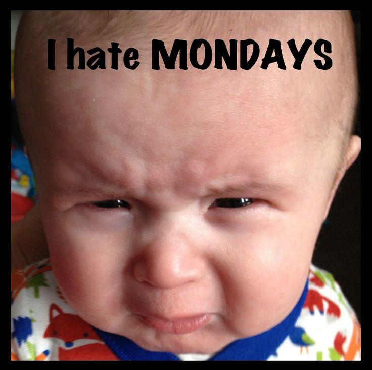I Hate Monday Quotes. QuotesGram