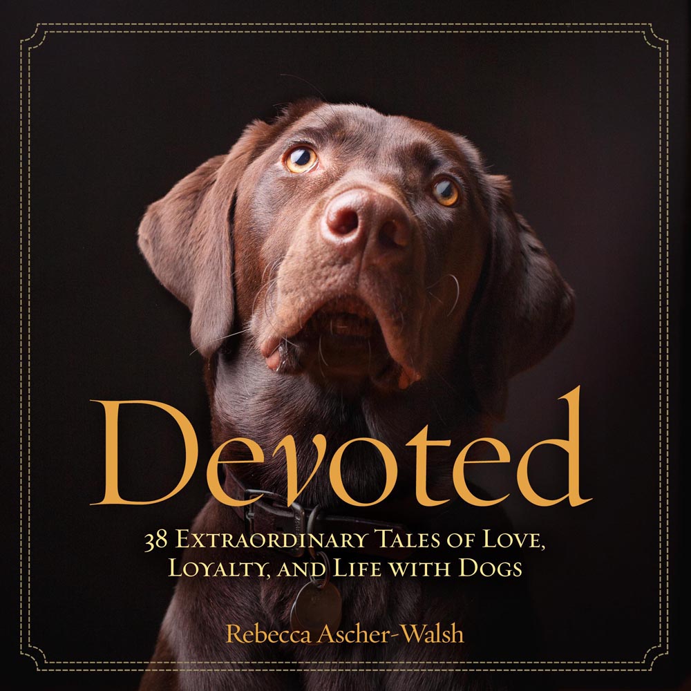 Dog Love And Loyalty Quotes QuotesGram