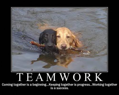 Movie Quotes About Teamwork. QuotesGram