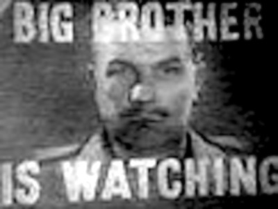 1984 essays on big brother