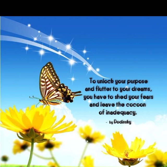 Quotes About Learning To Fly. QuotesGram