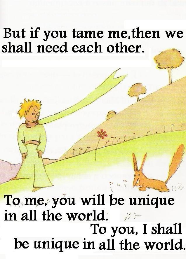 The Little Prince Rose Quotes. QuotesGram
