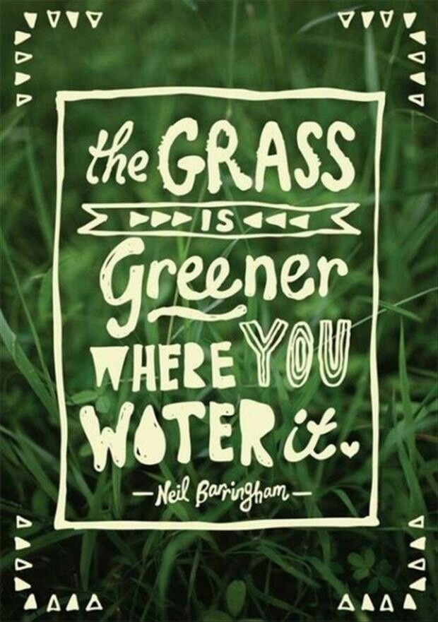 lawn-care-quotes-sayings-quotesgram