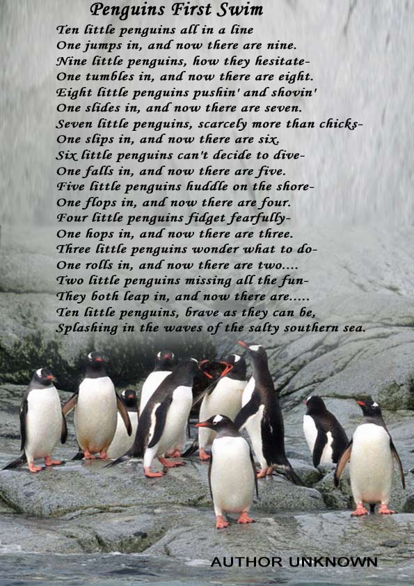 Rainbow Penguins With Quotes. QuotesGram