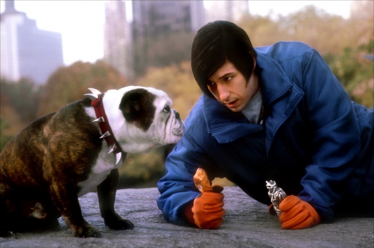 Little Nicky Funny Quotes. QuotesGram
