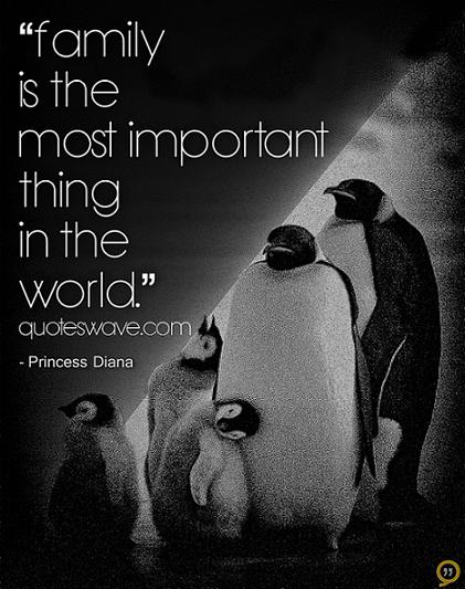 Quotes About How Important Is Family Quotesgram Quotes About How Important Is Family Quotesgram
