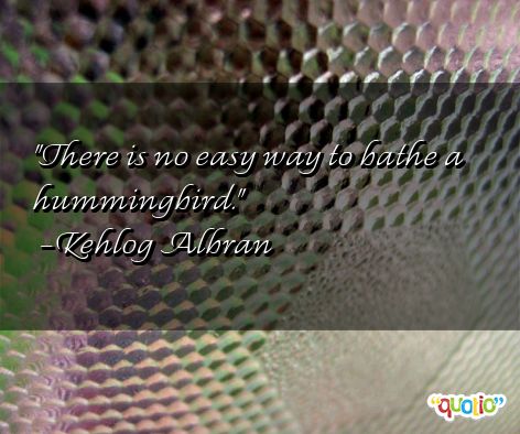 Hummingbird Quotes And Sayings. QuotesGram