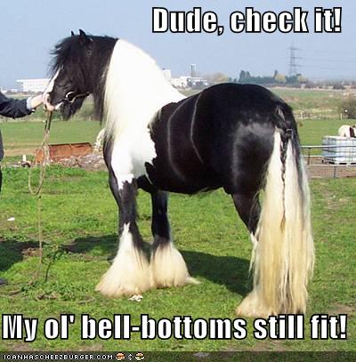 Silly Horse Quotes. QuotesGram