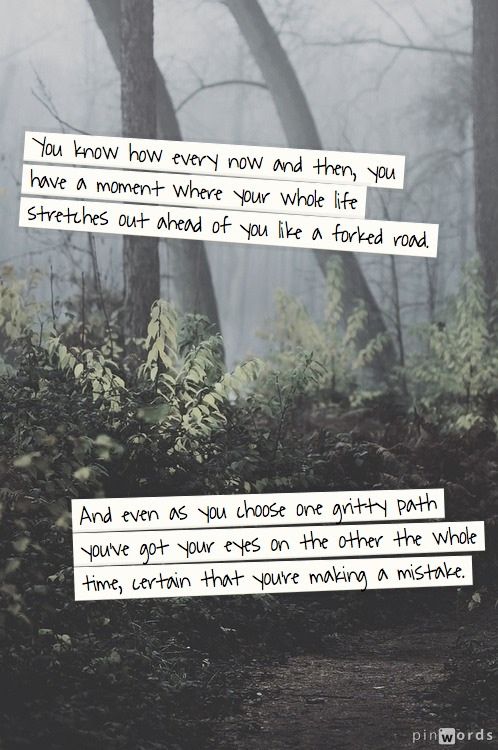 the storyteller picoult the storyteller picoult