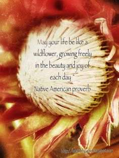 Native American Quotes About Mothers. QuotesGram