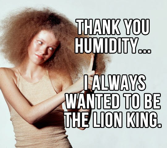 Funny Hair Quotes. QuotesGram