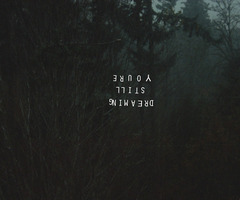 Quotes About Dark Forest. QuotesGram