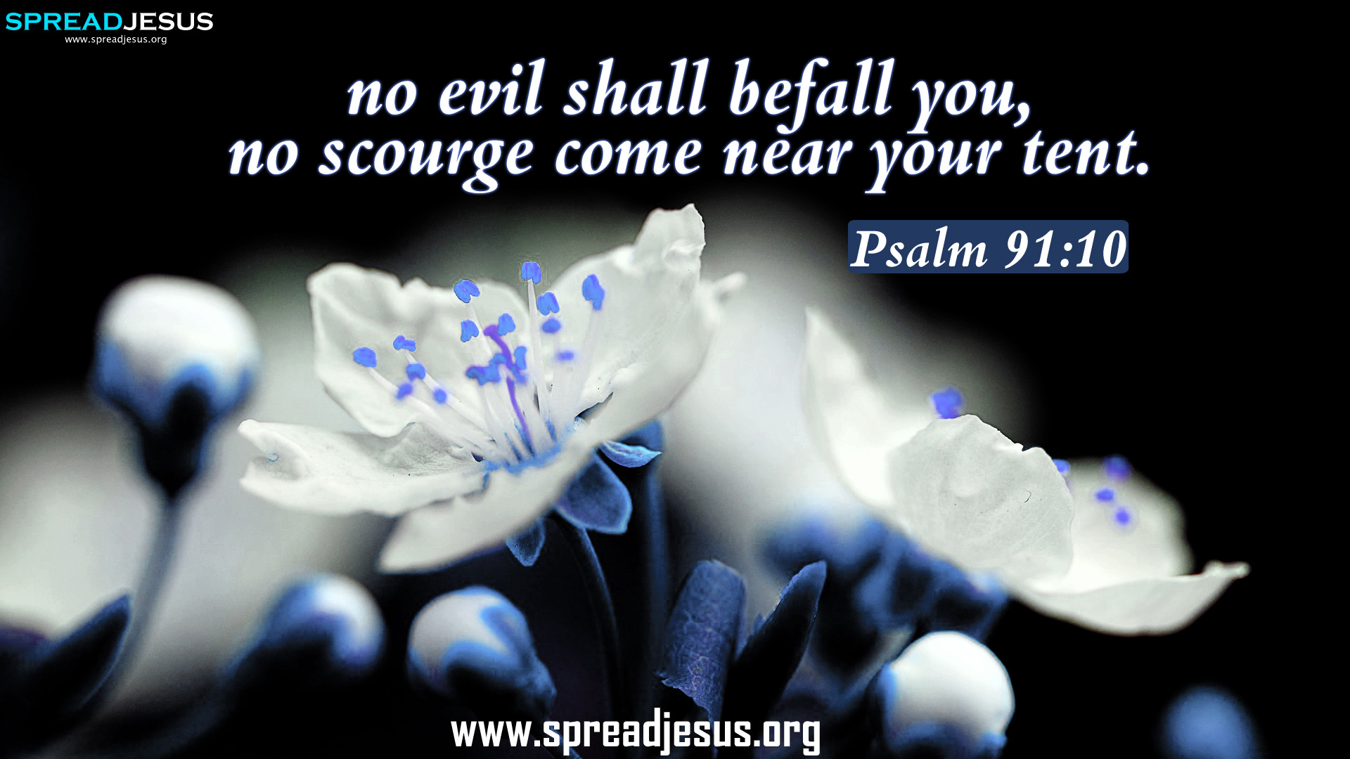 Bible Quotes Psalm 91 QuotesGram