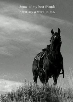 Horse Quotes Motivational. QuotesGram