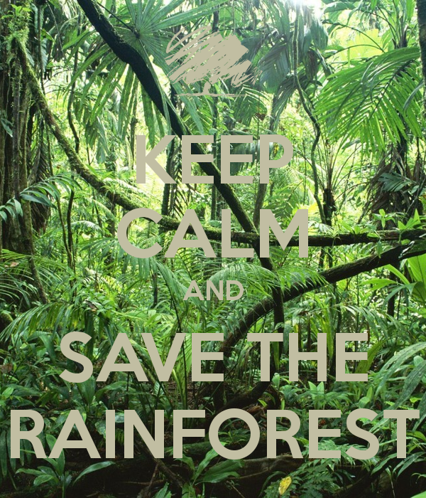 Quotes About The Rainforest. QuotesGram