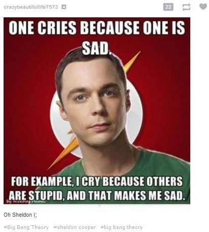 Sheldon Cooper Physics Quotes. QuotesGram