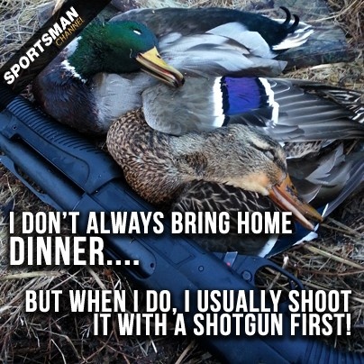 duck hunting dog quotes. quotesgram