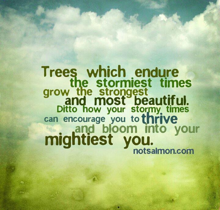 Quotes About Strength And Trees. QuotesGram