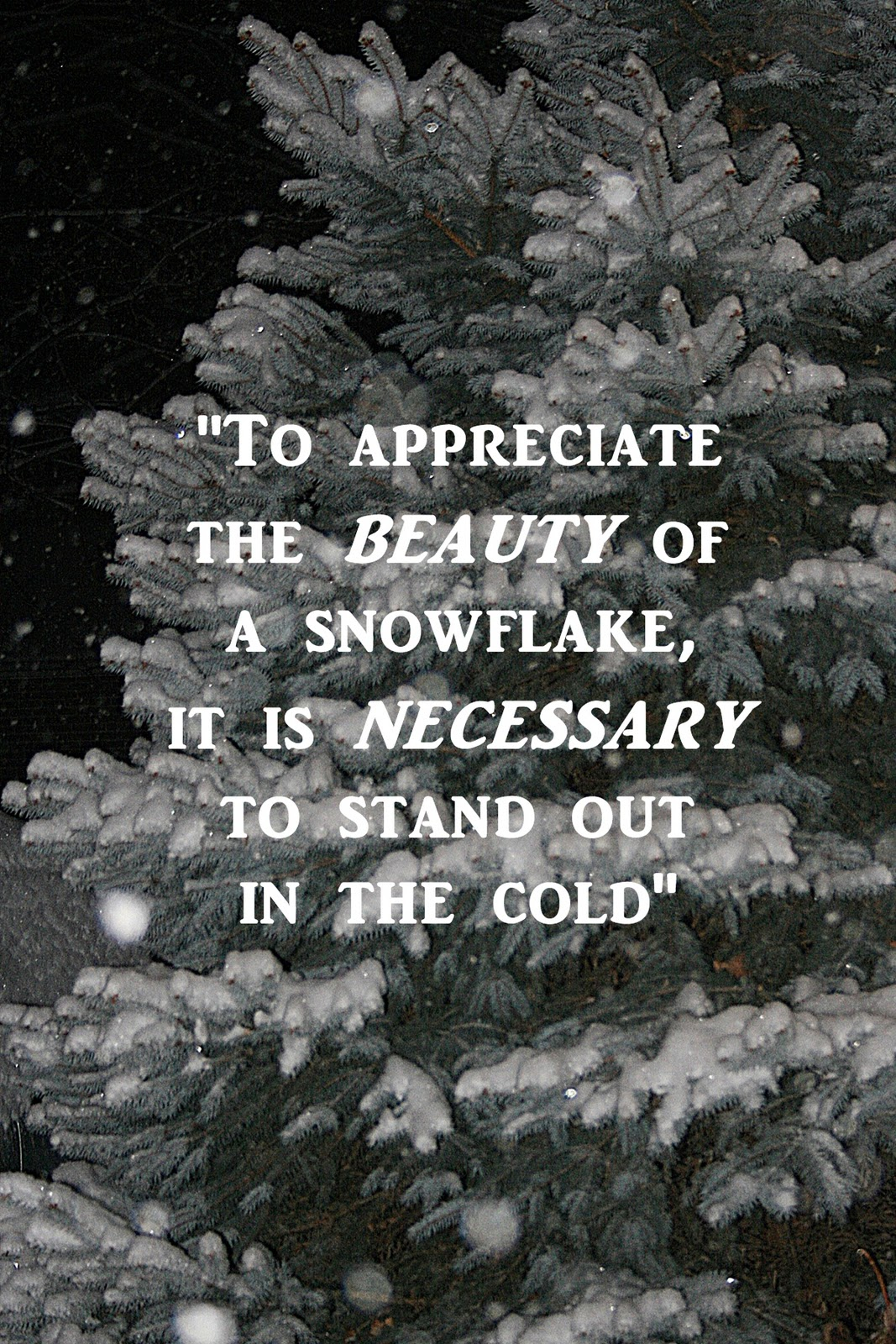 Quotes About Being Unique Snow Flakes. QuotesGram