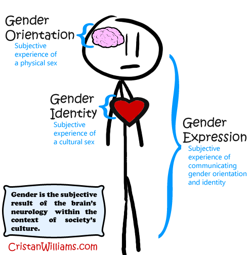 different factors affecting gender identity Culture and identity what is culture everyone has culture however, while we are born into cultures we are not born with culture culture is something that we learn culture is dynamic and adapts to changing circumstances. different factors affecting gender identity Culture and identity what is culture everyone has culture however, while we are born into cultures we are not born with culture culture is something that we learn culture is dynamic and adapts to changing circumstances.