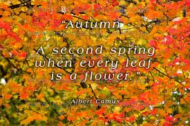September Fall Quotes. QuotesGram