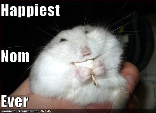 Hamster Stressed Quotes. QuotesGram