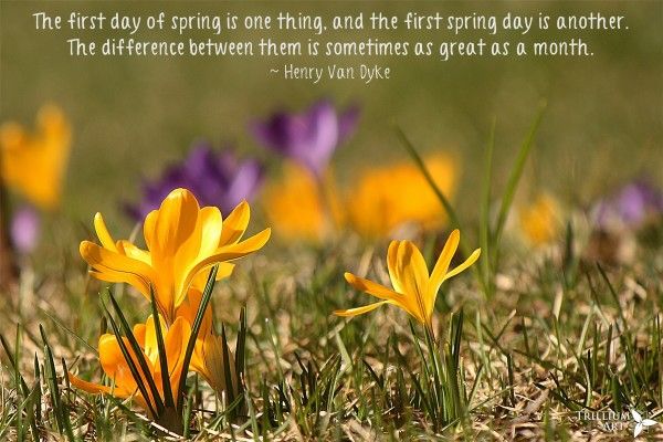 Welcome First Day Of Spring Quotes. QuotesGram