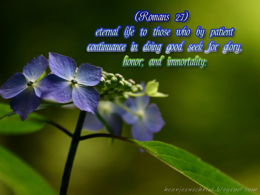 Bible Quotes On Patience. QuotesGram
