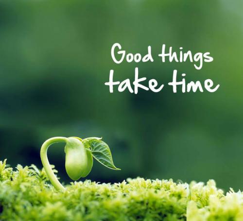 Good Things Take Time Quotes Quotesgram