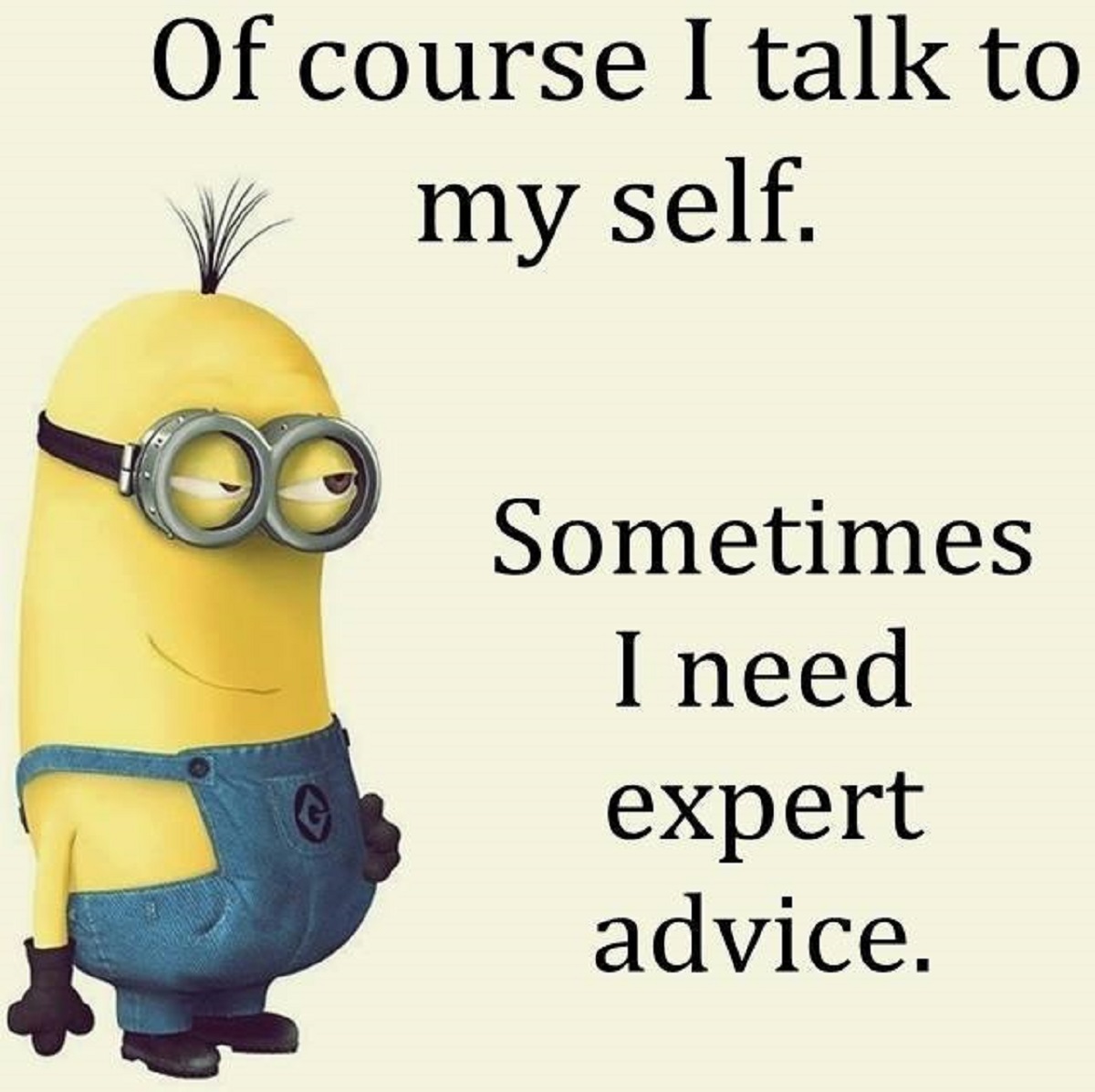 Funniest Minion Quotes.