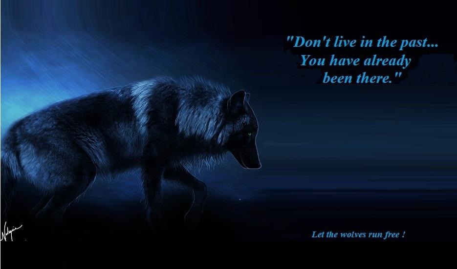 Cool Wolf Spiritual Quotes. QuotesGram