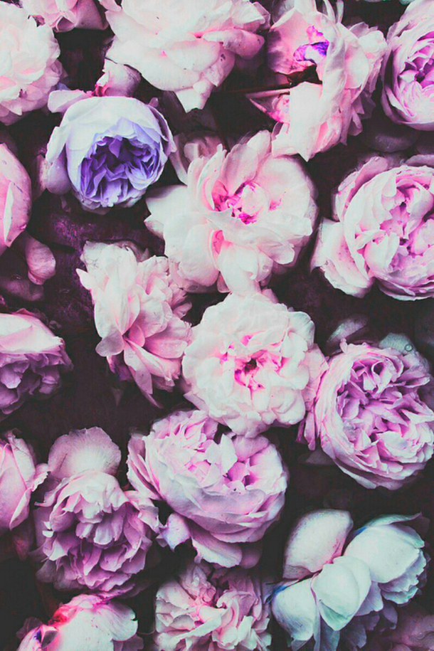 images Indie Flowers Background quotes about white flowers quotesgram