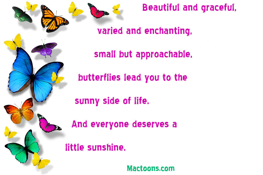 Colorful Butterfly Quotes. QuotesGram