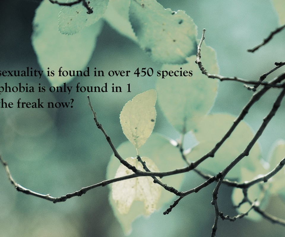 Funny Nature Quotes QuotesGram