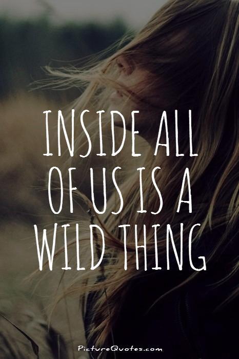 wild at heart quotes shamboli wild at heart quotes shamboli