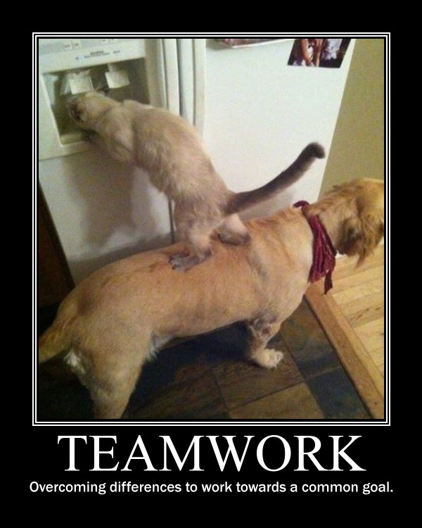 Funny Teamwork Quotes For Work QuotesGram