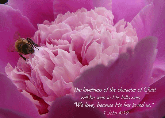 Christian Quotes About Springtime. QuotesGram