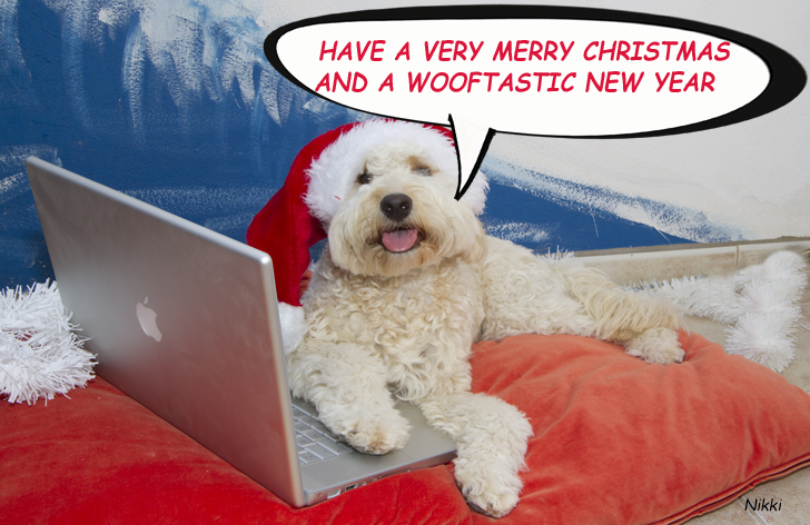 Christmas Dog Quotes. QuotesGram