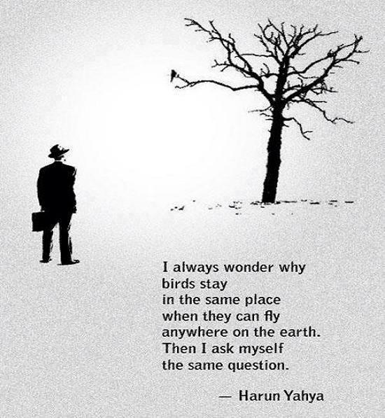 Inspirational Quotes When Someone Dies. QuotesGram