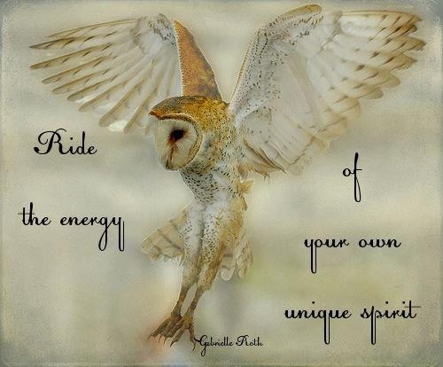 Owl Eyes Quotes. QuotesGram