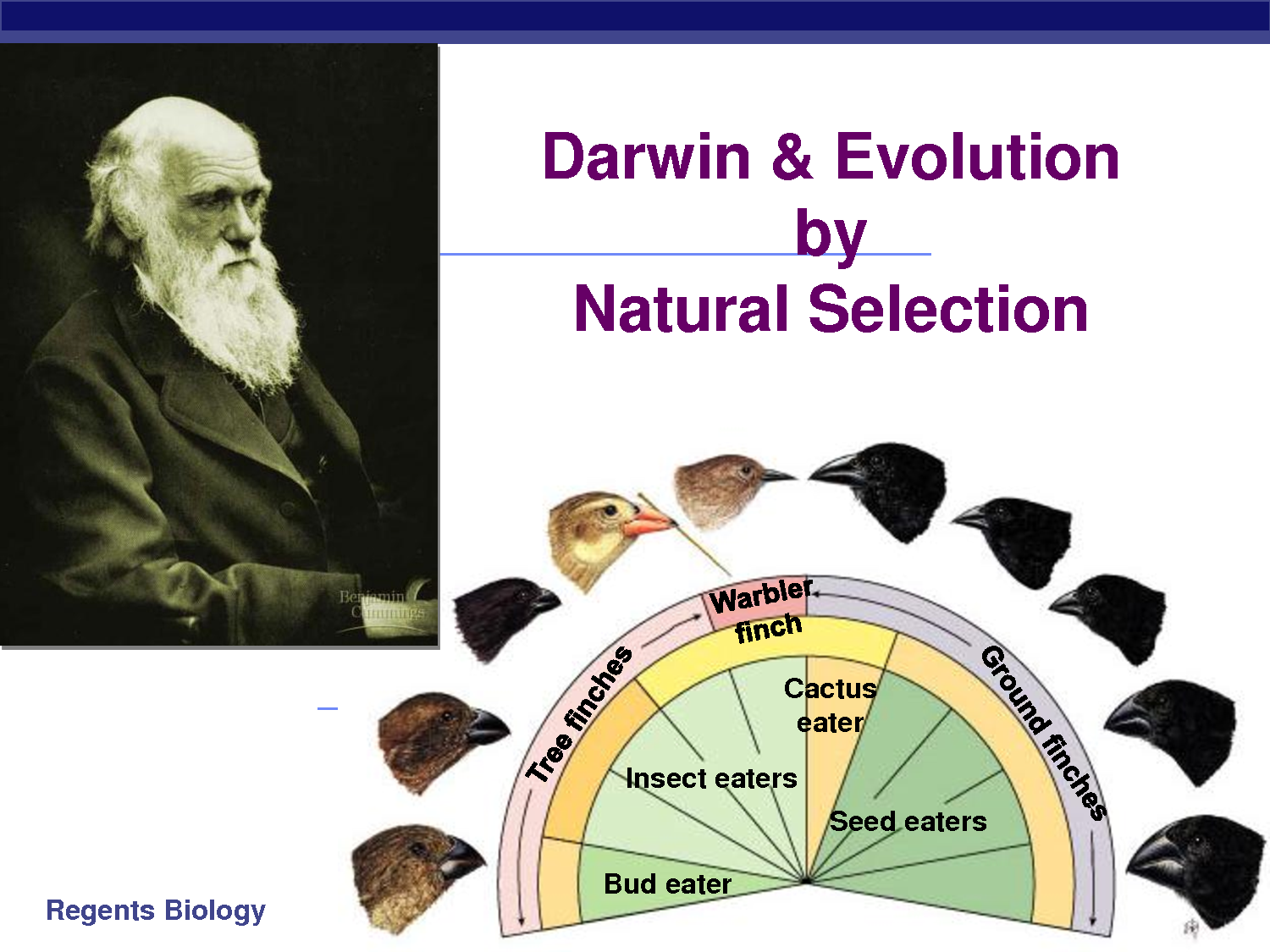 Darwinian Theory Quotes. QuotesGram