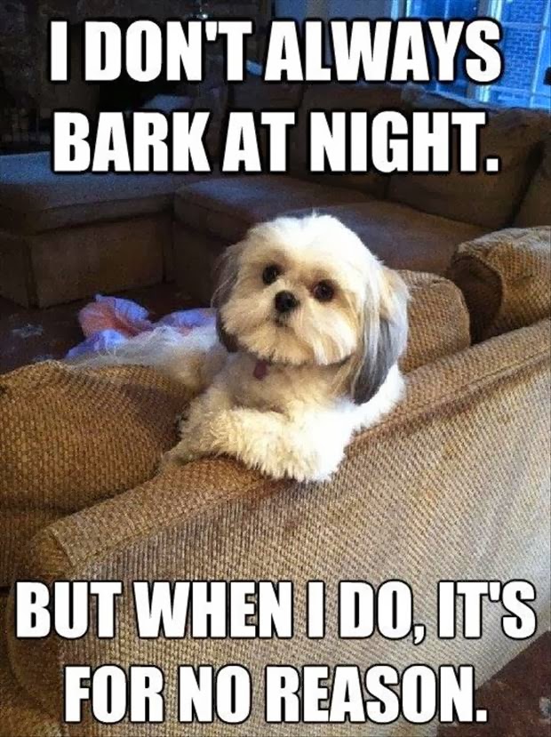 Dog Humor Funny Quotes QuotesGram
