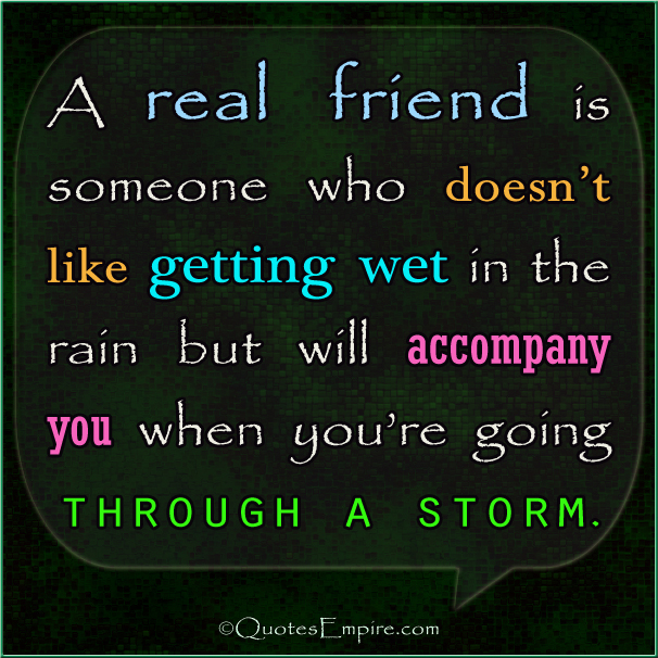 Going Through The Storm Quotes. QuotesGram