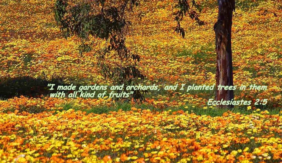 Bible Quotes About Gardening Quotesgram