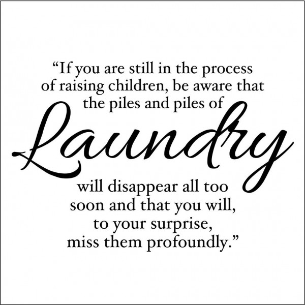 Clever Laundry Quotes. QuotesGram