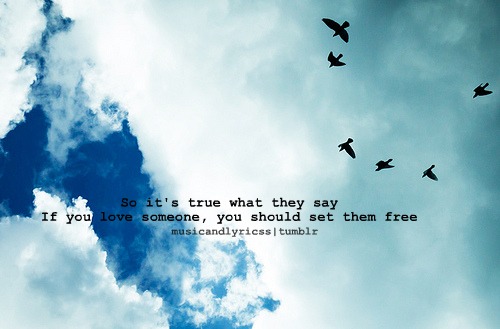 You Me At Six Quotes Quotesgram