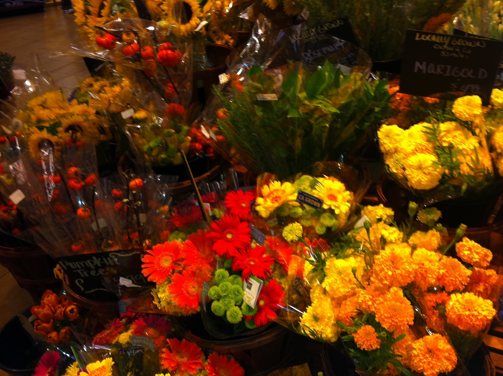 Flower Fall Quotes. QuotesGram