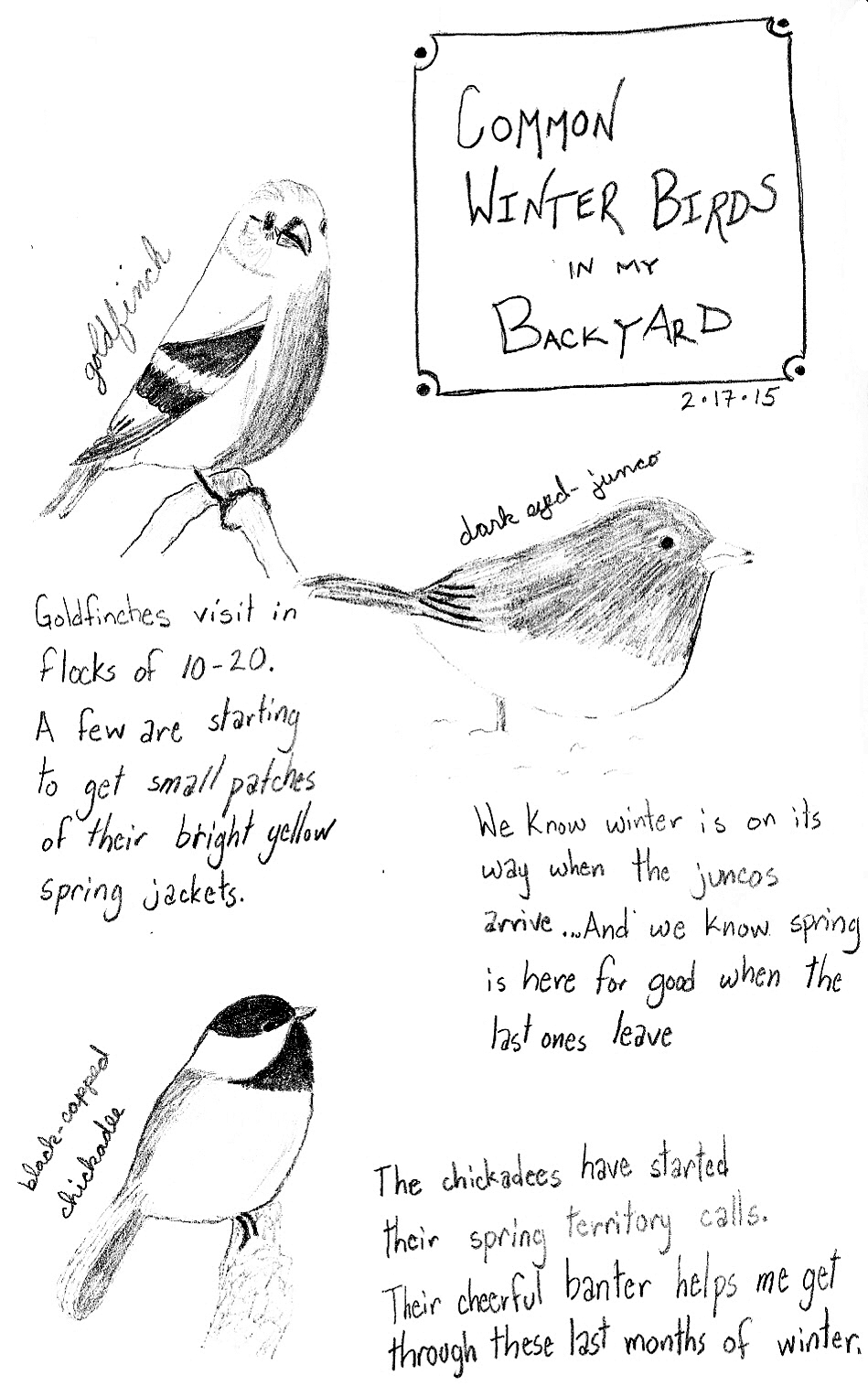 Goldfinch Quotes. QuotesGram