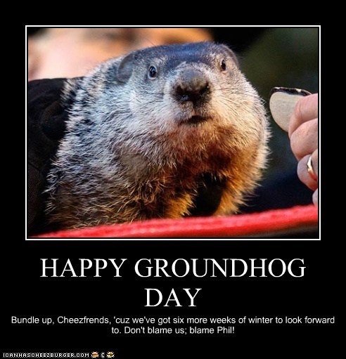 Groundhog Day Funny Quotes. QuotesGram
