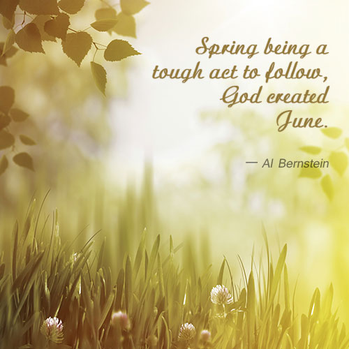 Funny month of june quotes quotesgram